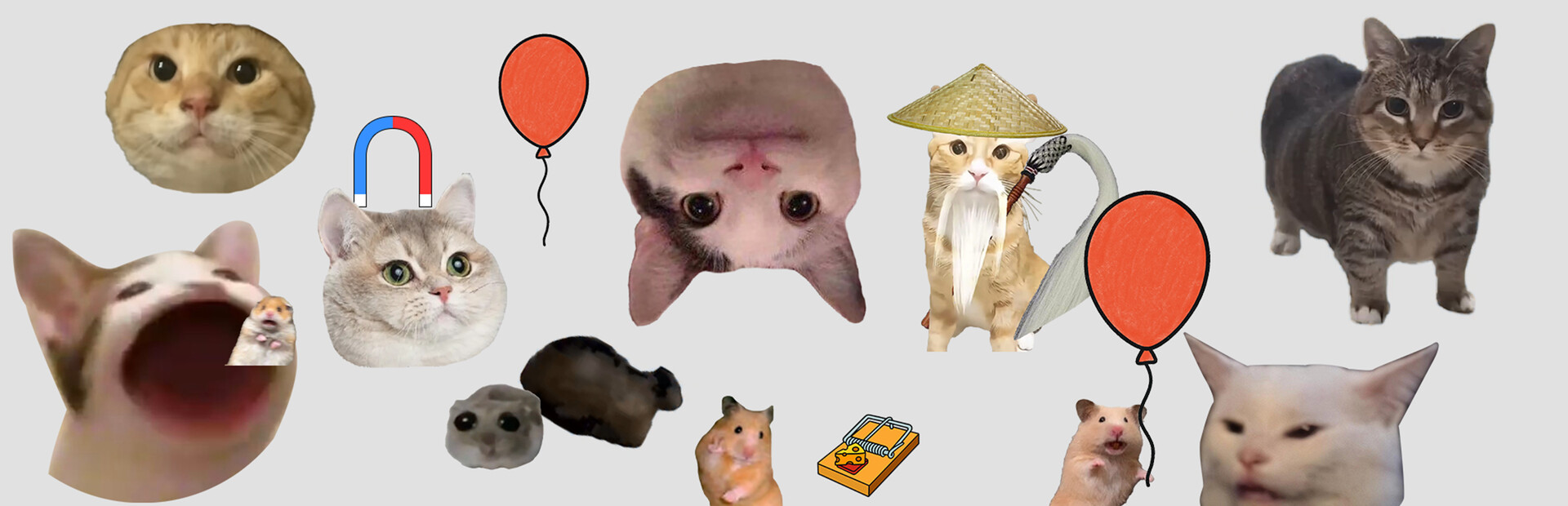 cat and rat