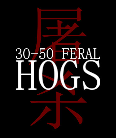 30-50 Feral Hogs