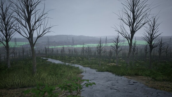 Thumbnail 15