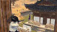 Screenshot 23