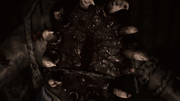 Thumbnail 13