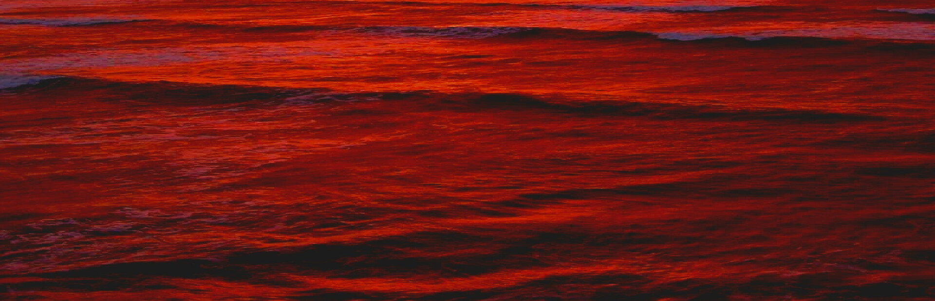 Blood Wizard Odyssey