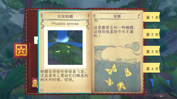 第 2 张，共 5 张
