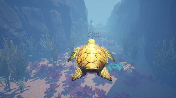 Turtle Racer