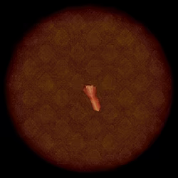 There are people in your walls video 2