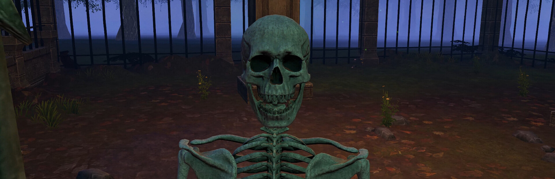 Skeletery