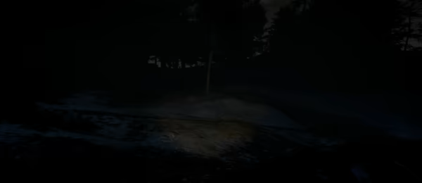 A Lonely Cabin Trip video 4