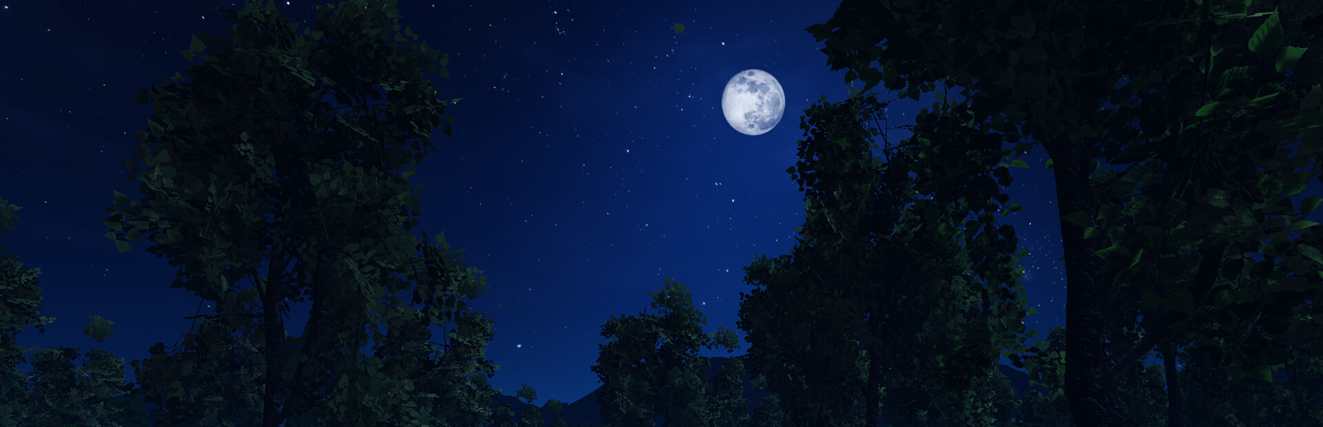 DARK NIGHT WITH FLOPPA
