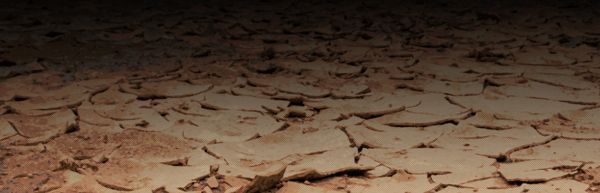 Dust Dwellers