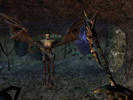 The Elder Scrolls III: Morrowind screenshot