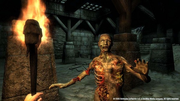 The Elder Scrolls IV: Oblivion® Game of the Year Edition (2009)