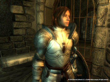 The Elder Scrolls IV: Oblivion® Game of the Year Edition.