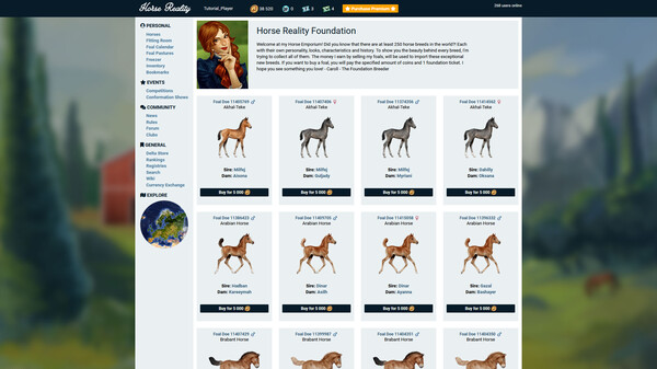 Horse Reality screenshot 5