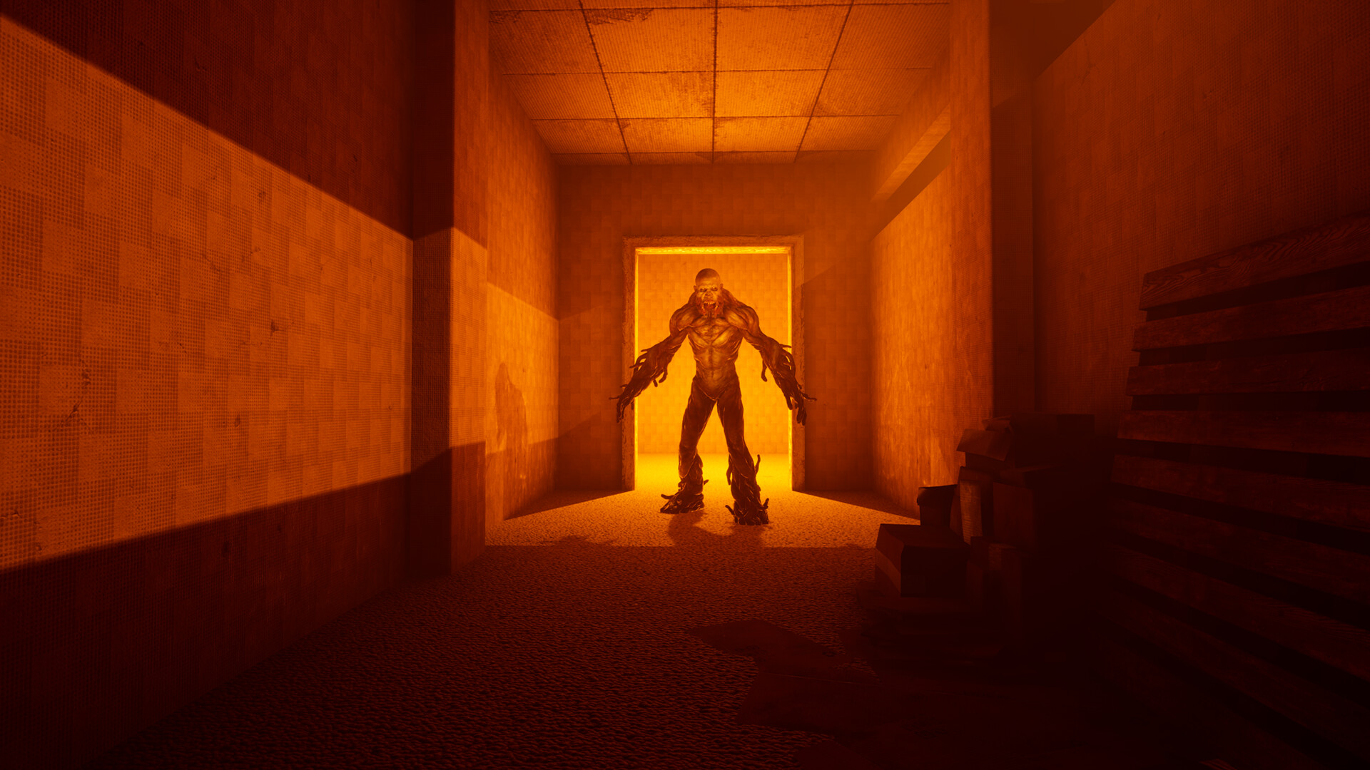#4. BACKROOMS: APPREHENSION (Steam) By: DMNT Interactive