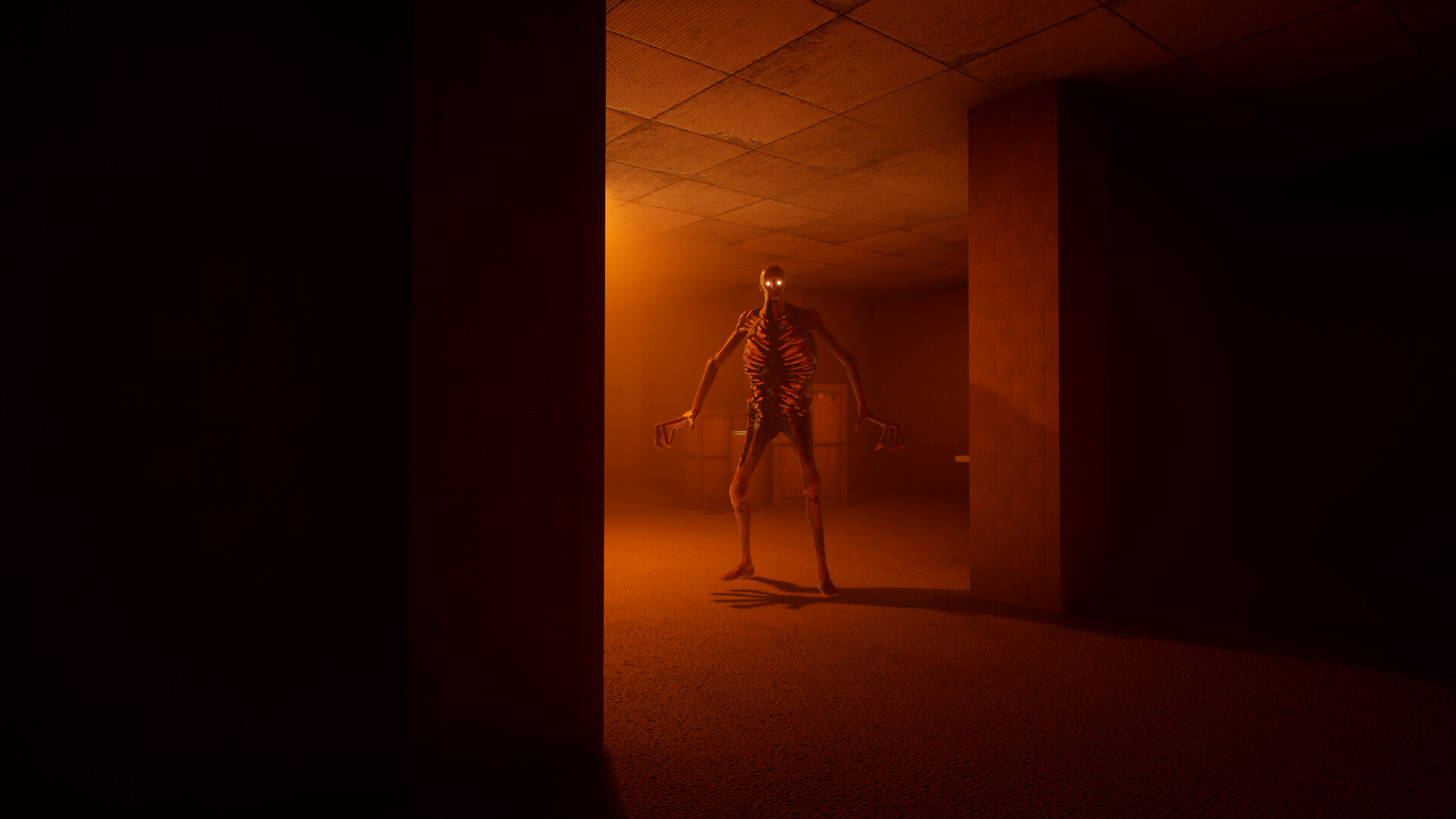 BACKROOMS: APPREHENSION