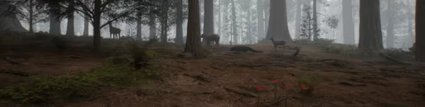 Native Hunter video 1