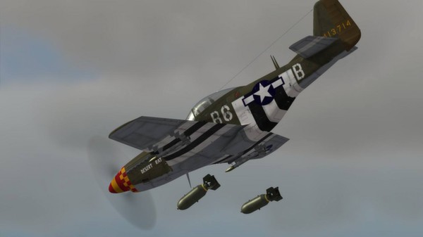 DCS: P-51D Mustang