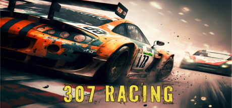 307 Racing banner image