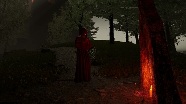 Thumbnail 12