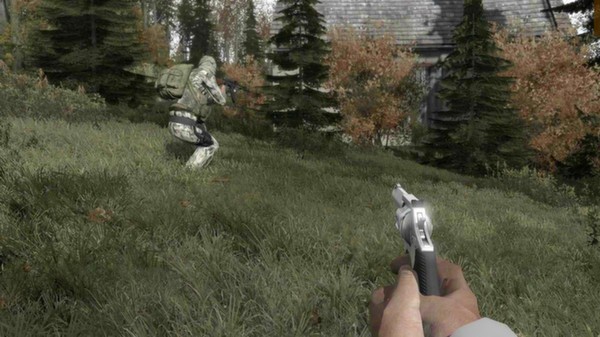 Arma II: DayZ Mod