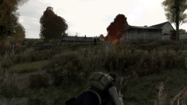 Arma II: DayZ Mod