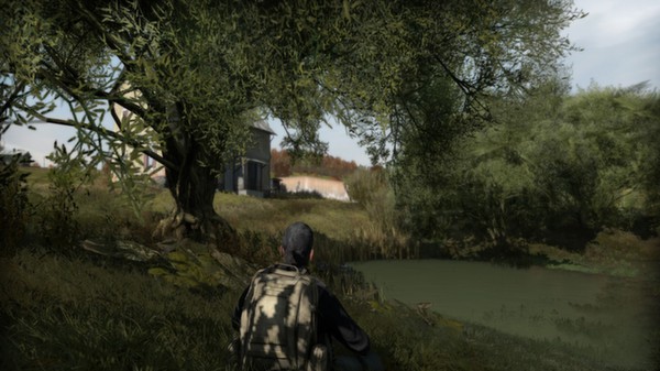 Arma II: DayZ Mod