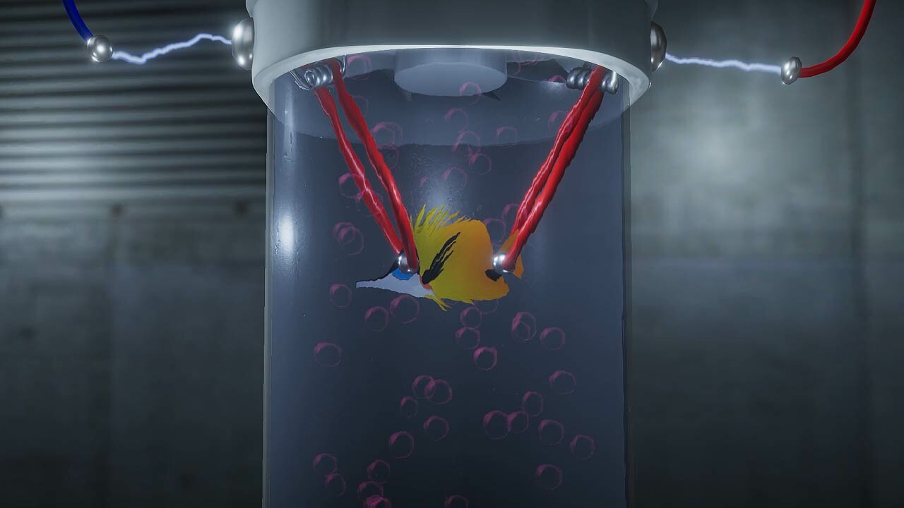 Cardboard Fish Featured Screenshot #1