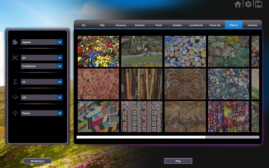 Let's Play Jigsaw Puzzles: Australia & New Zealand