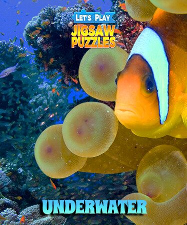 Let's Play Jigsaw Puzzles: Underwater