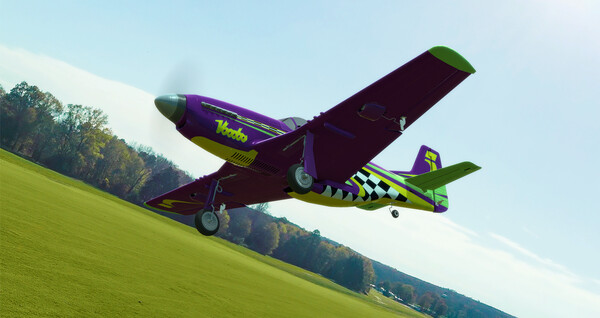 RealFlight Evolution - E-flite UMX P-51D Voodoo