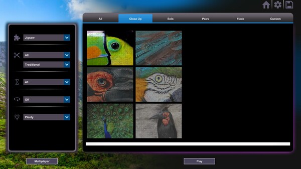 Let's Play Jigsaw Puzzles: Birds