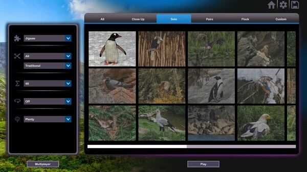 Let's Play Jigsaw Puzzles: Birds