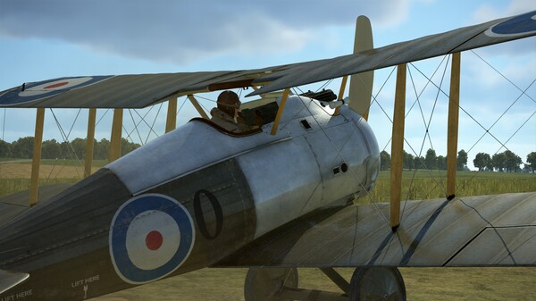 IL-2 Sturmovik: Sopwith Snipe Collector Plane screenshot 8
