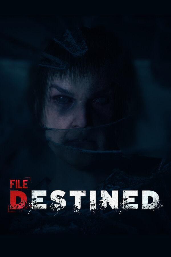 Capa de File Destined