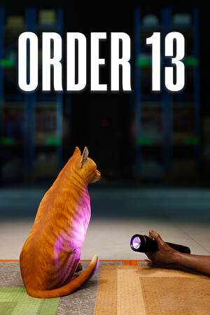Cover art of ORDER 13