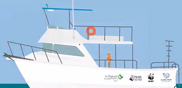 Find the Whales screenshot 2