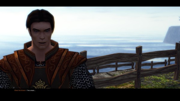 SpellForce 2 Faith in Destiny Scenario 1: Flink's Secret Diary (DLC) screenshot 9