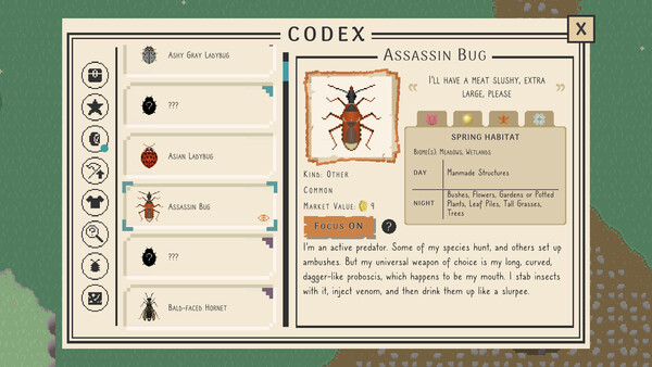 Bug & Seek