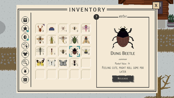 Bug & Seek