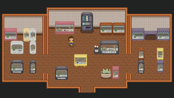 Bug & Seek Screenshot