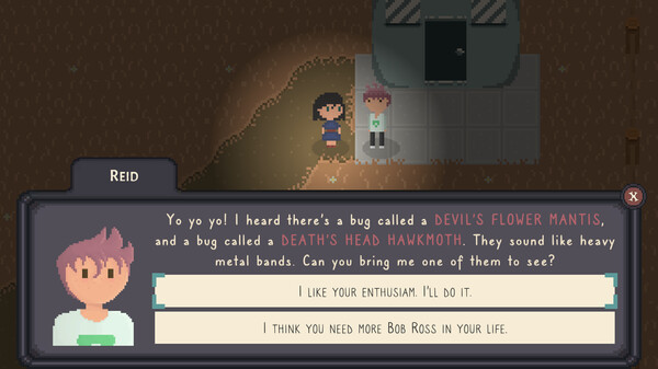 Bug & Seek Screenshot