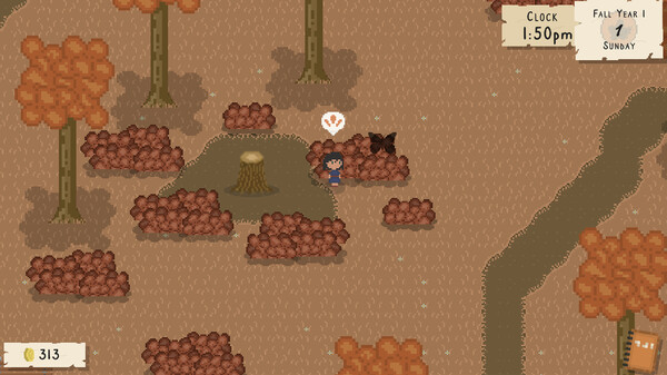Bug & Seek
