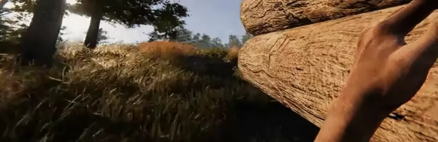 The Risen Survival video 3