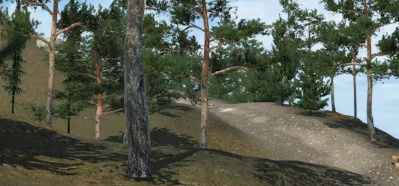 Downhill Pro Racer video 3