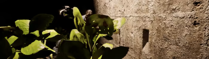 Vandaan video 1