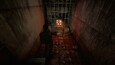 A screenshot of BECROWNED
