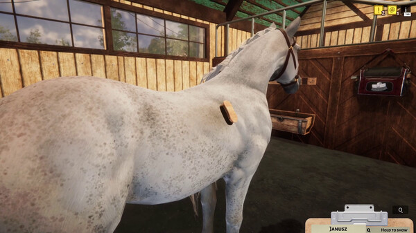 Animal Shelter - Horse Shelter (DLC) screenshot 12