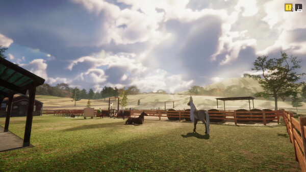 Animal Shelter - Horse Shelter (DLC) screenshot 9