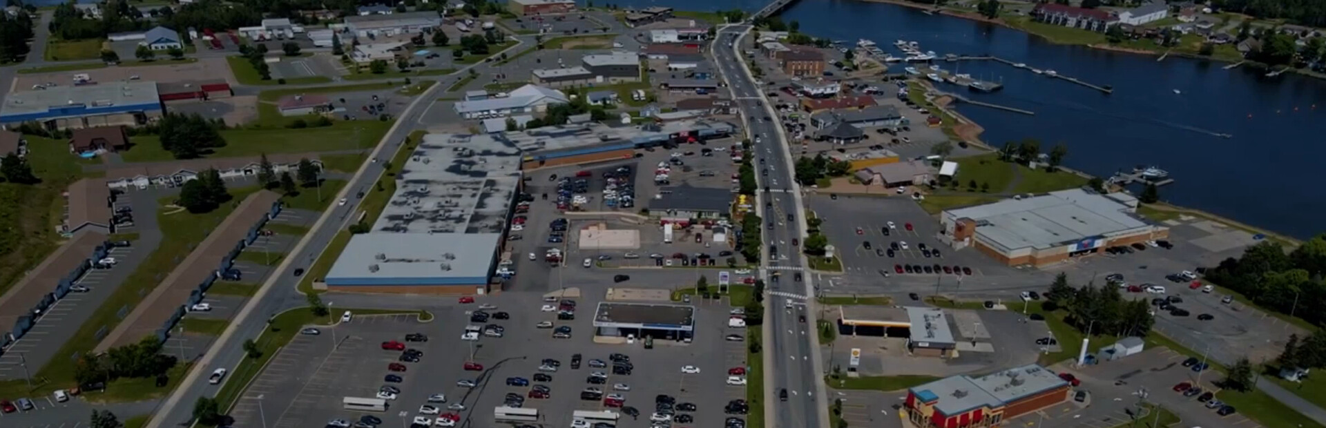 Tracadie Bird Shit