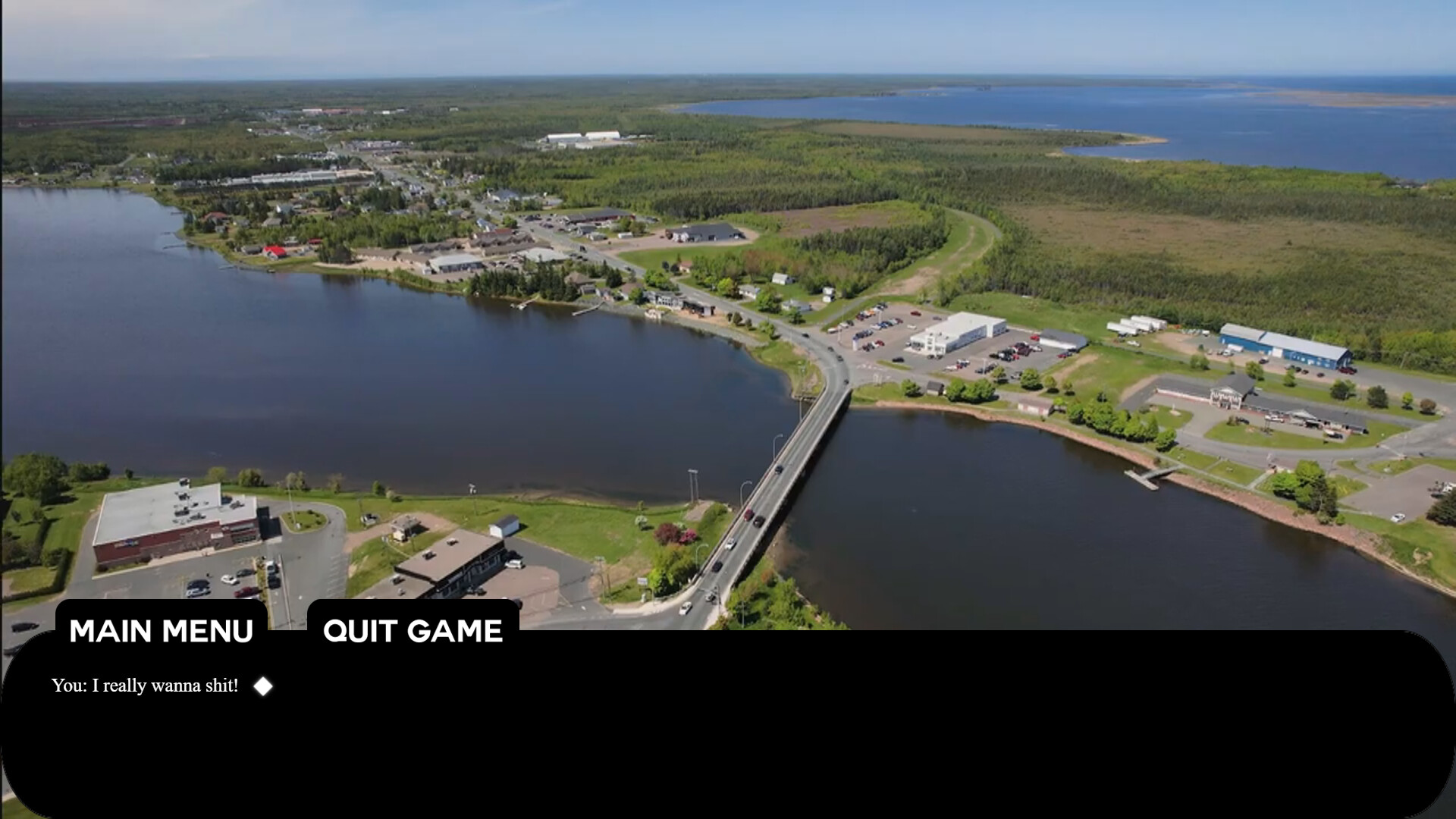 #2. Tracadie Bird Shit (Steam) 由: Ninoo Studio